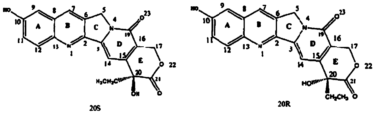 10-Hydroxycamptothecin Water-Soluble Macromolecular Conjugates for pH Sensitive Release, Preparation Method and Application