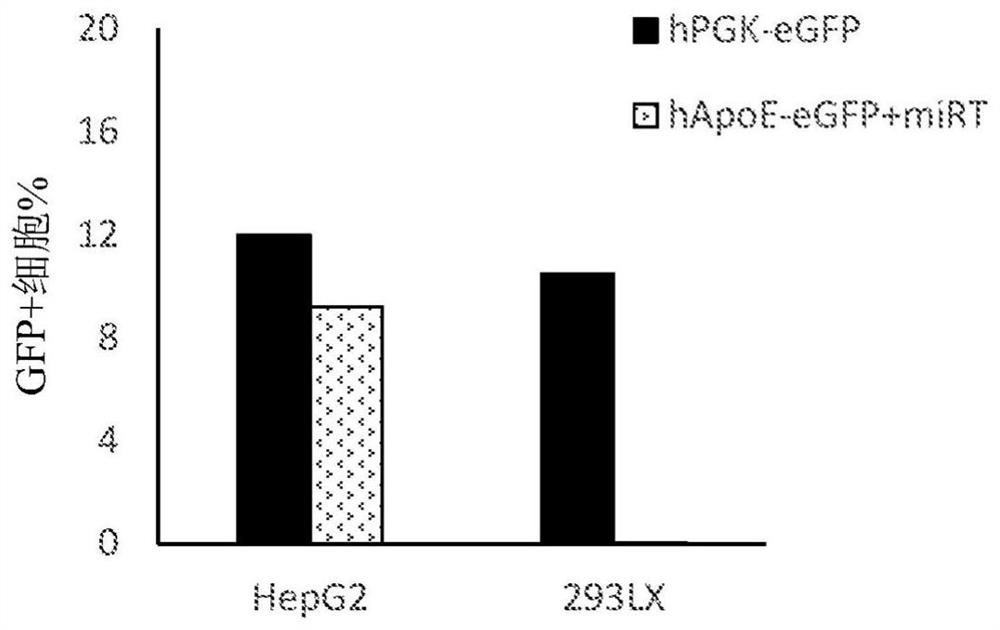 Fusosome compositions and uses thereof