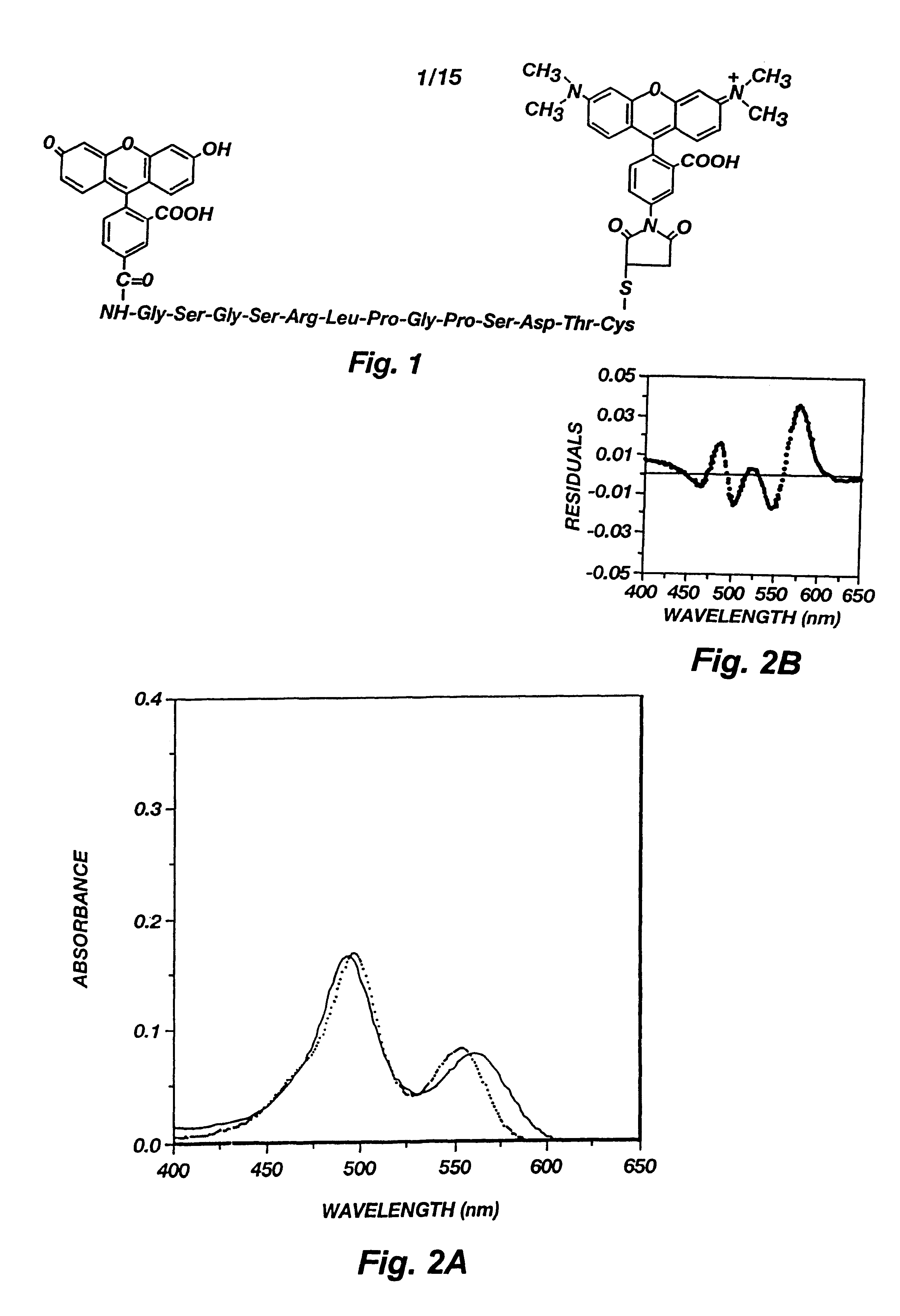 Assay procedure using fluorogenic tracers