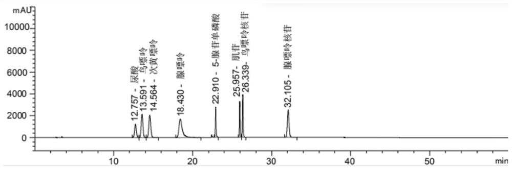 Method for detecting adsorption efficiency of medicine on nucleic acid metabolite and application of method