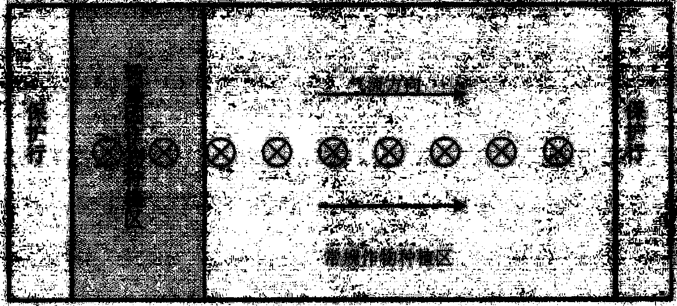 Method for evaluating influence of environmental single factor on transgene plant gene flow