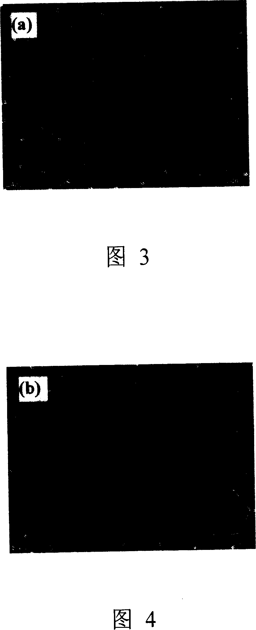 Method for preparing hexangular ordered FePt nano particle array