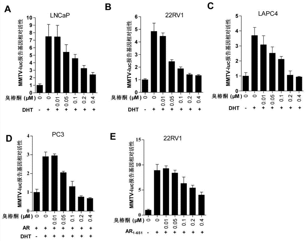 Application of ailanthonone in preparation of medicine for treating prostate disease