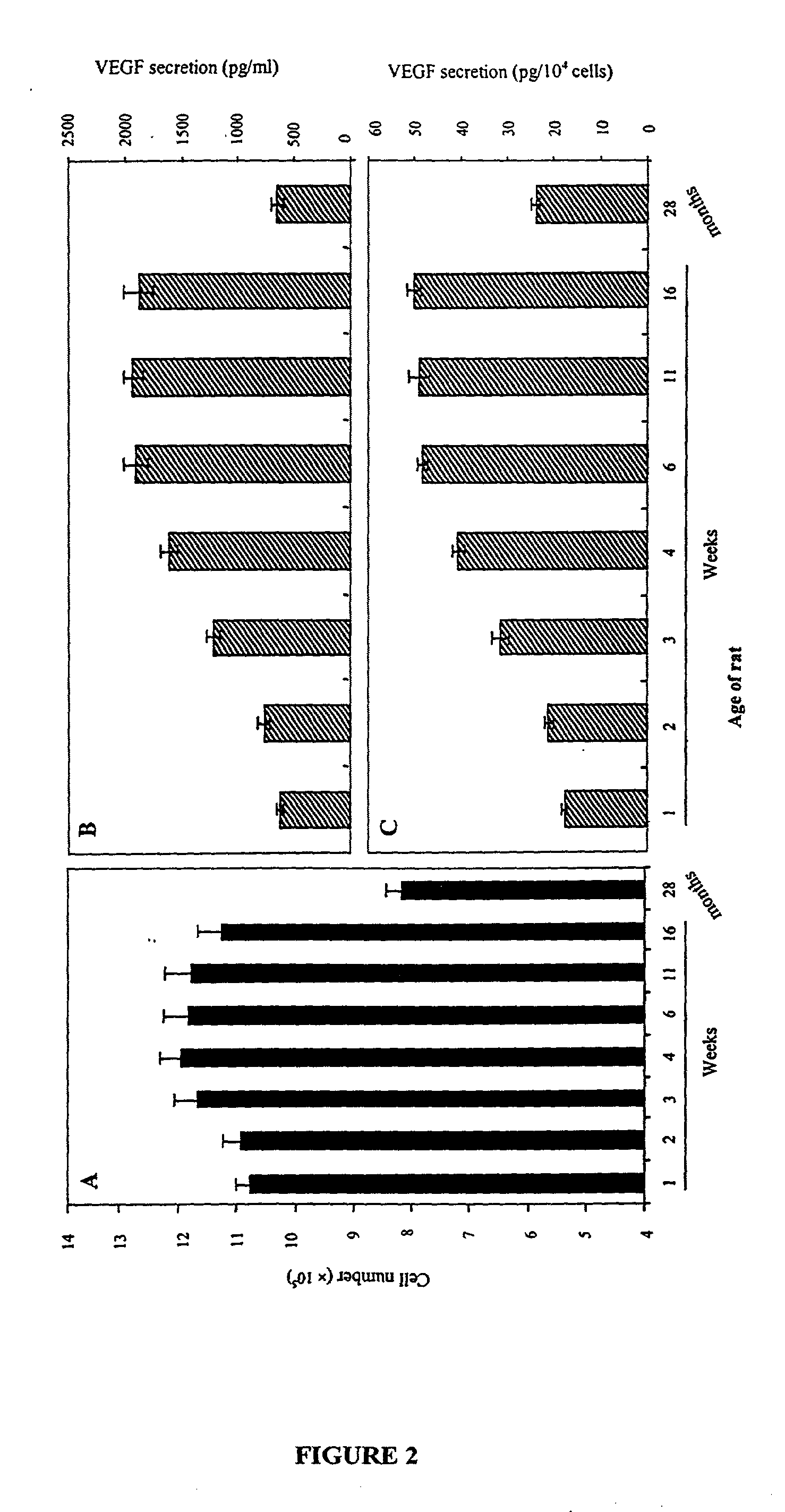 Methods and compositions for preventing and treating male erectile dysfunction and female sexual arousal disorder