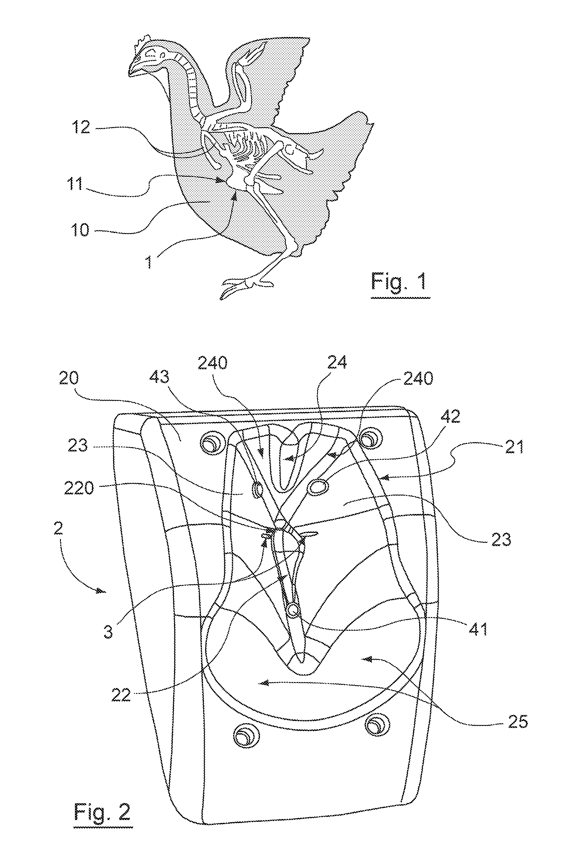 Device for injecting veterinary products to poultry including a contention member having an anatomic form with means for bracing a detectable bone