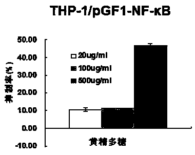 Application of polygonatum polysaccharide in preparation of drugs for assisting inhibition of colon cancer