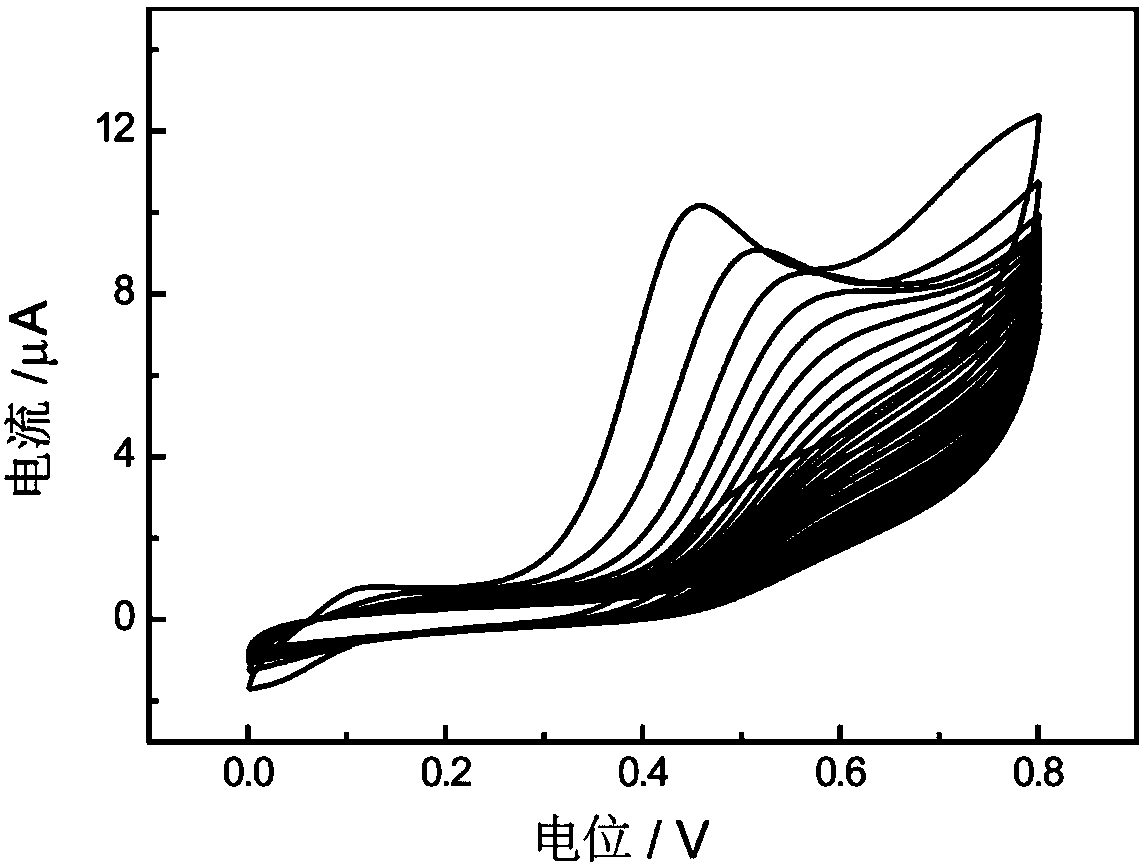 Surface enhancement Raman spectrum sensor based on electrochemical deposition and molecular imprinting and preparation method thereof