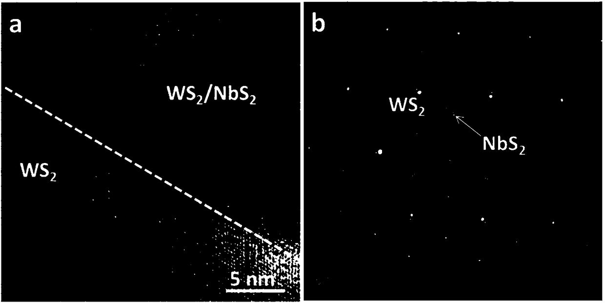 Tungsten disulfide/niobium disulfide heterojunction nanosheet