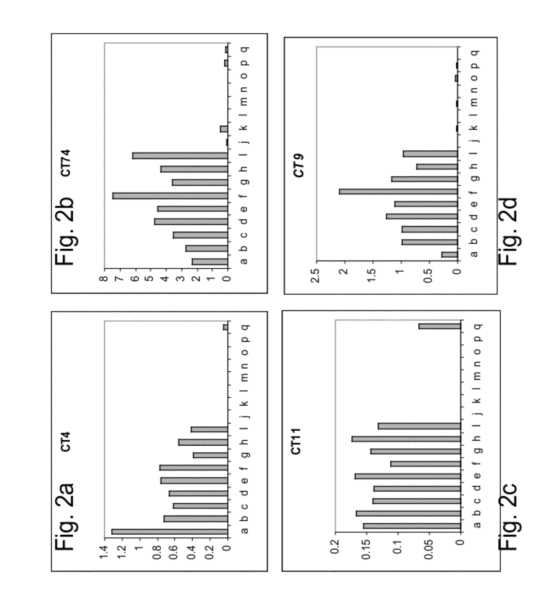 Polynucleotides and polypeptides involved in plant fiber development and methods of using same