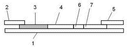 Immune chromatography fluorescence reagent strip for detecting cardiac troponin and preparation method thereof