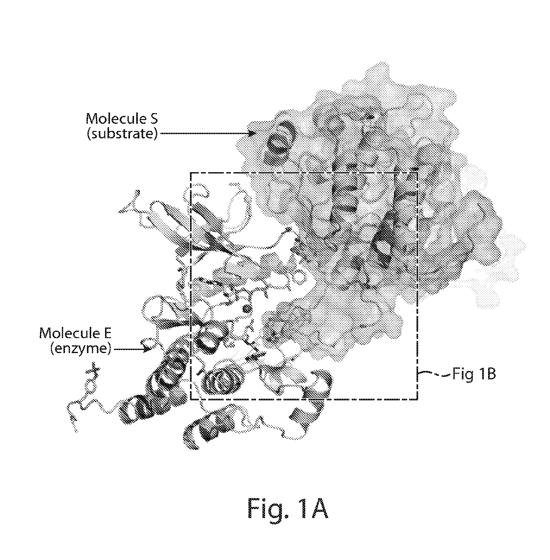 Inhibitors of receptor tyrosine kinases (RTK) and methods of use thereof