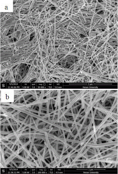 Nanometer wire purifying device and purifying method