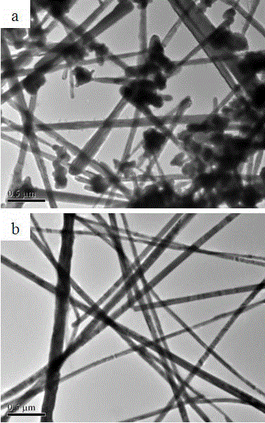 Nanometer wire purifying device and purifying method