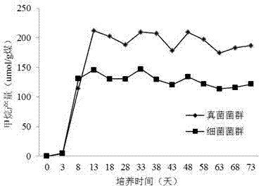 Method for improving biological coal bed gas yield through coal bed origin fungi