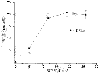 Method for improving biological coal bed gas yield through coal bed origin fungi