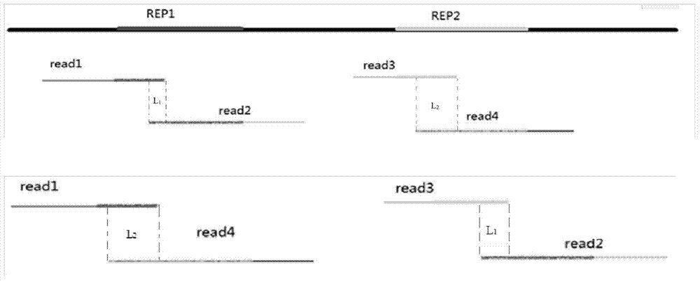 Genome sequencing data sequence assembling method