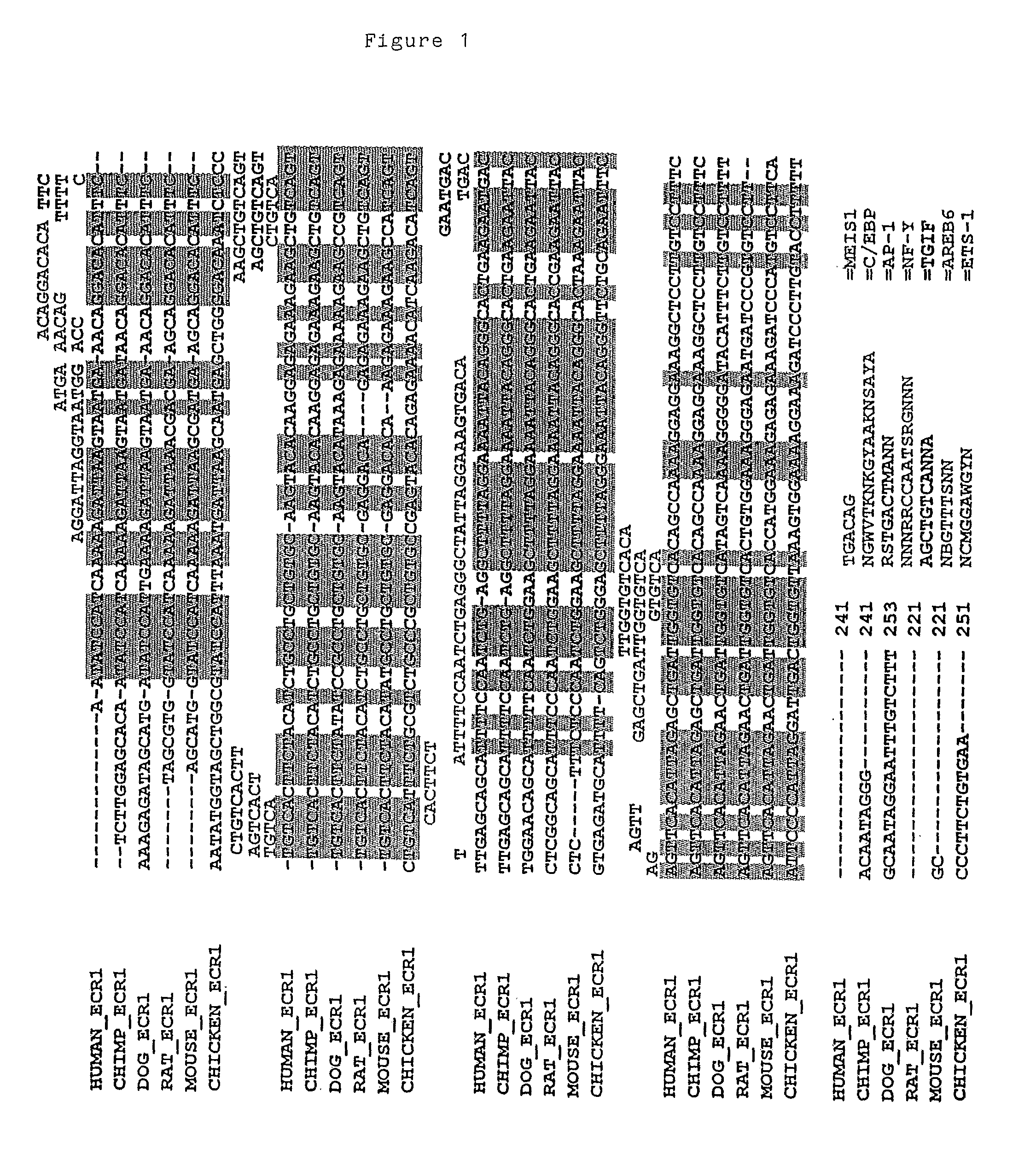 Preprotachykinin Enhancer Elements