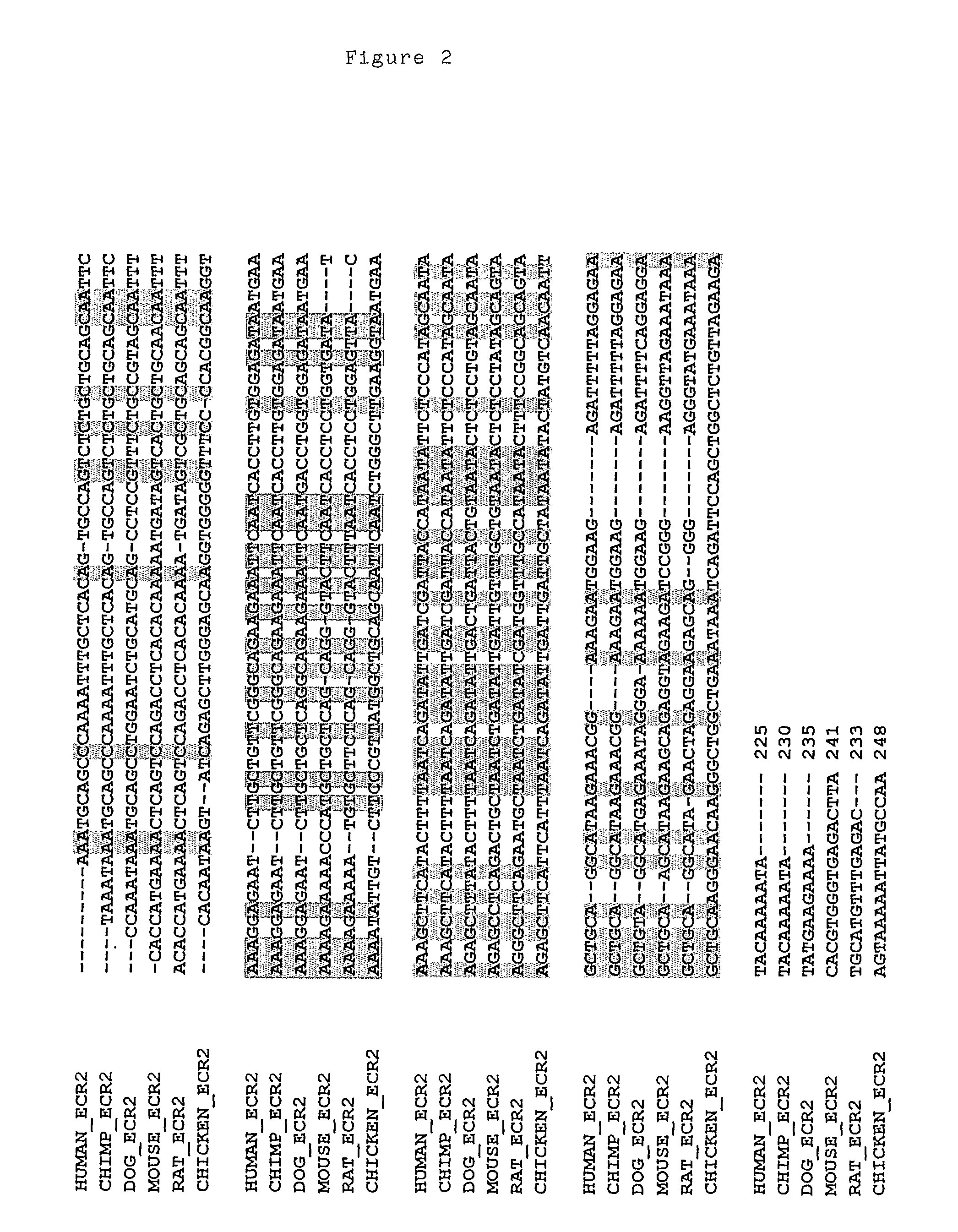 Preprotachykinin Enhancer Elements