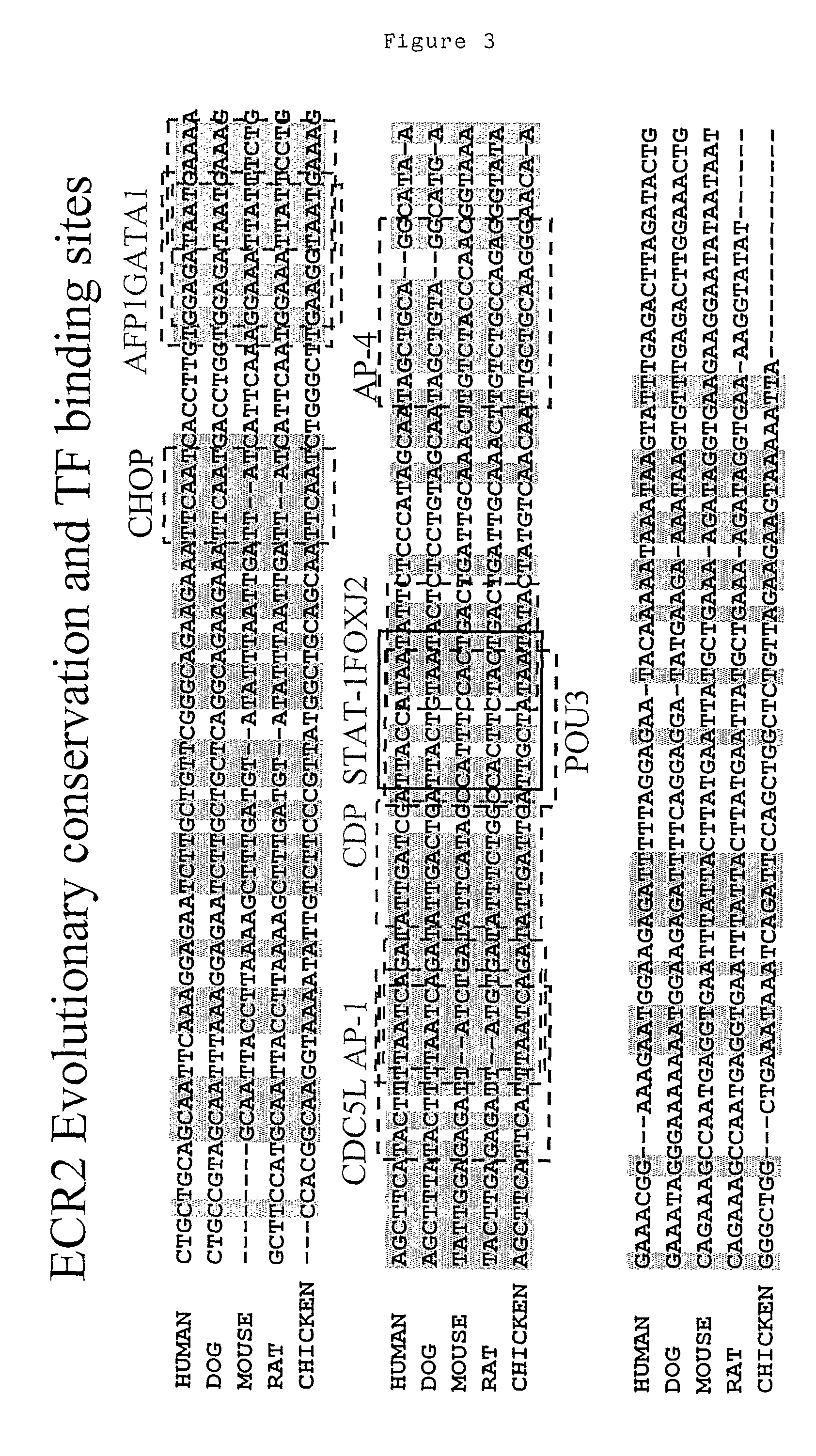 Preprotachykinin Enhancer Elements