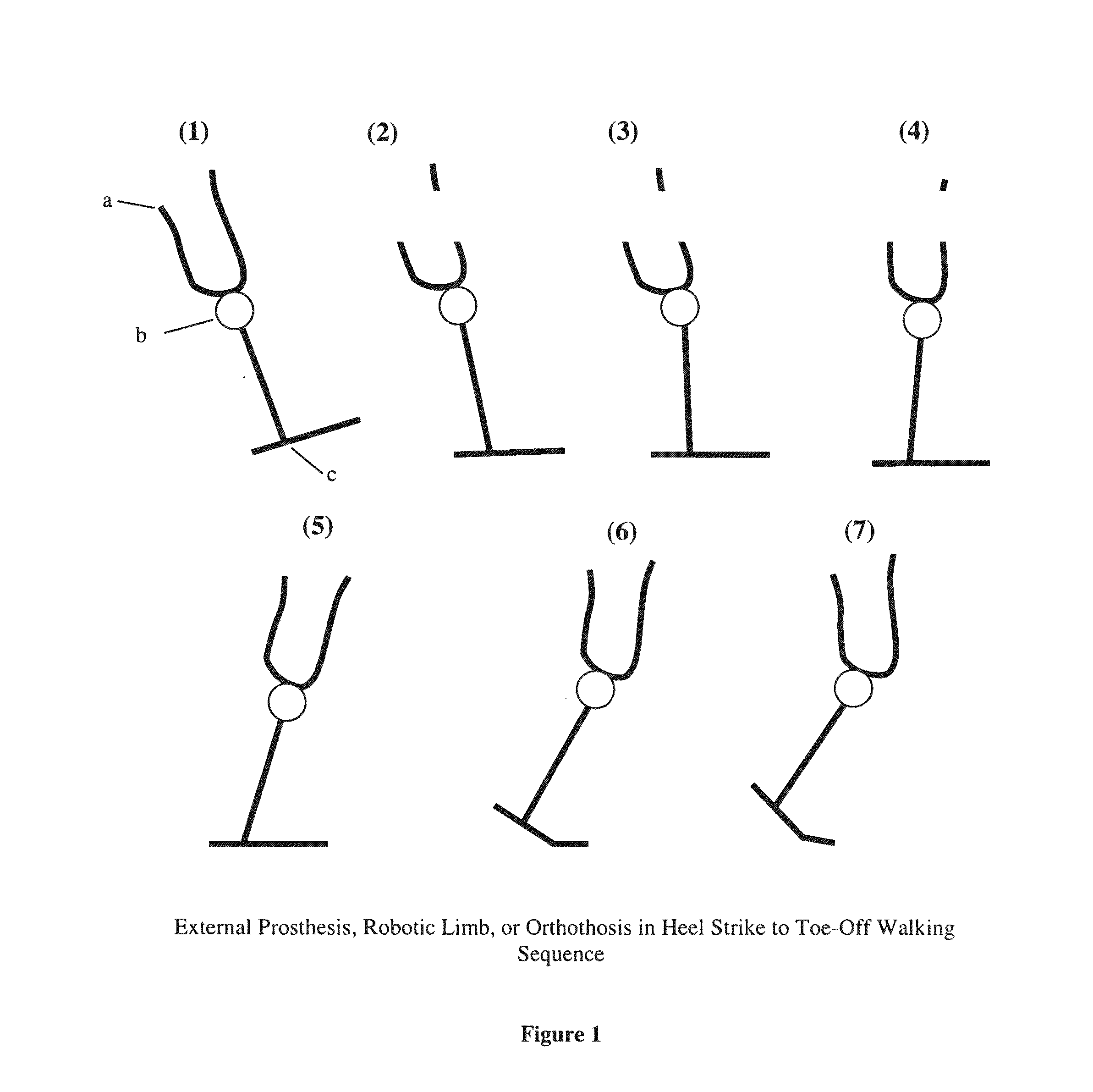 Variable-mechanical-impedance artificial legs