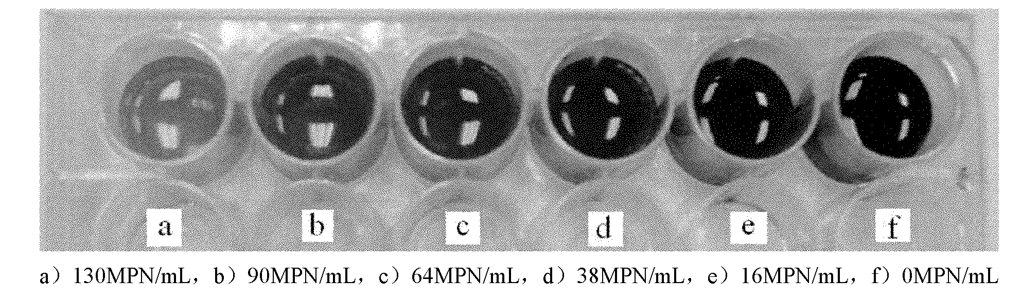 Rapid detection method of coliform groups