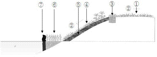 A soft barrier method for slope protection and non-point source pollution control in river bank