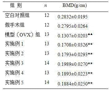 Traditional Chinese medicine composition as well as preparation and application thereof