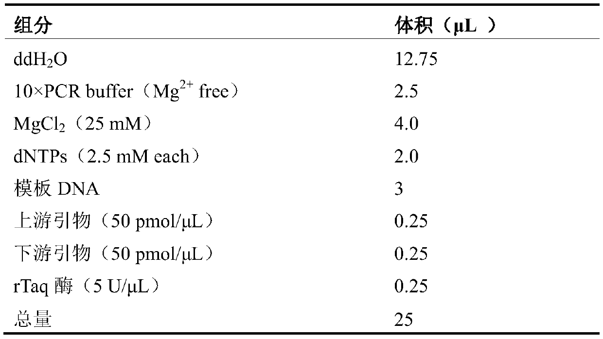 Specific primers, probe, kit and chip for Trypanosoma gene detection