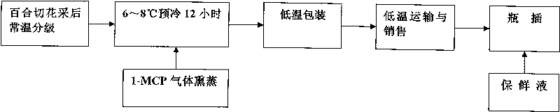 Environment friendly preservation method of lily cut flowers