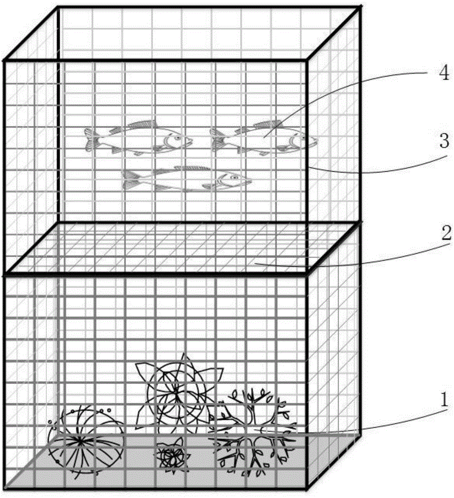 Ecological net cage-based water purification method