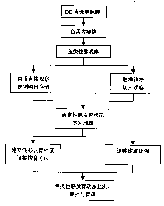 Analyzing method of fish sexual gland