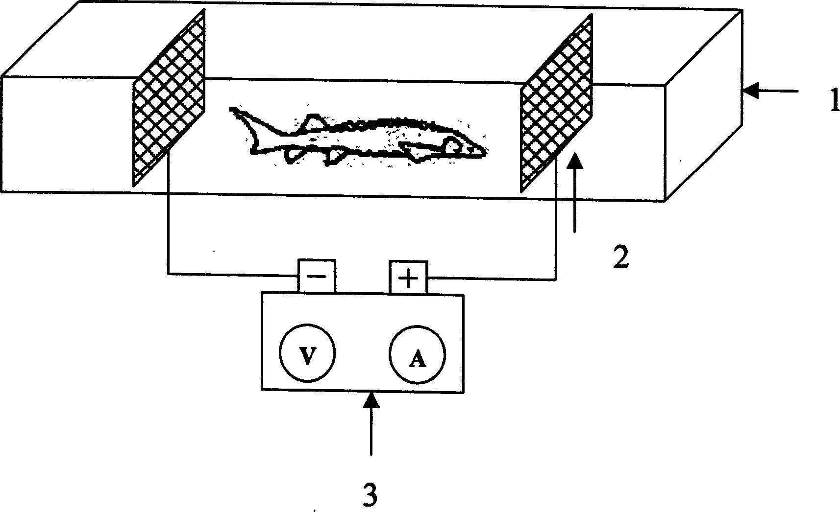 Analyzing method of fish sexual gland