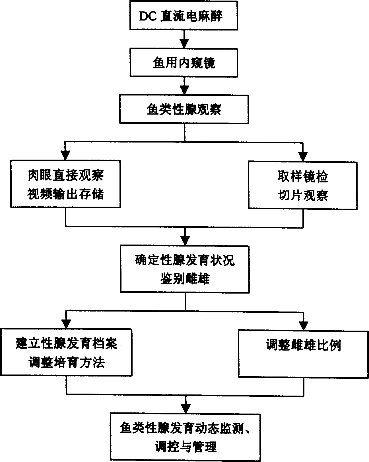 Analyzing method of fish sexual gland