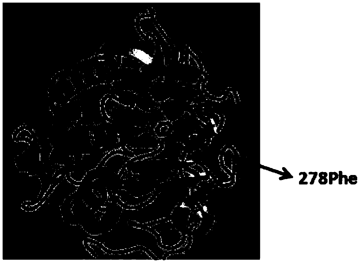 Higher-activity partial glyceride lipase mutant and application thereof