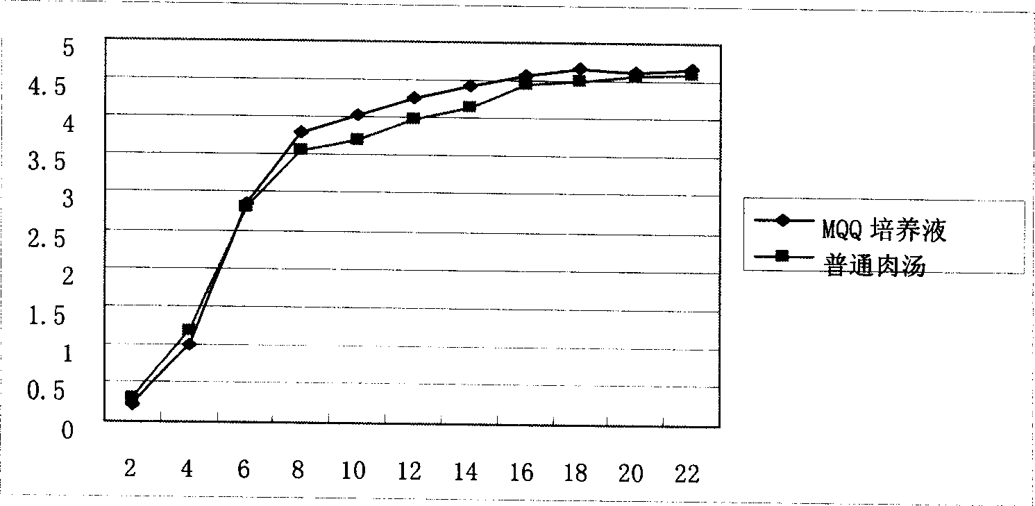 Preparing method for cow mammitis E.coli culture fluid and its use