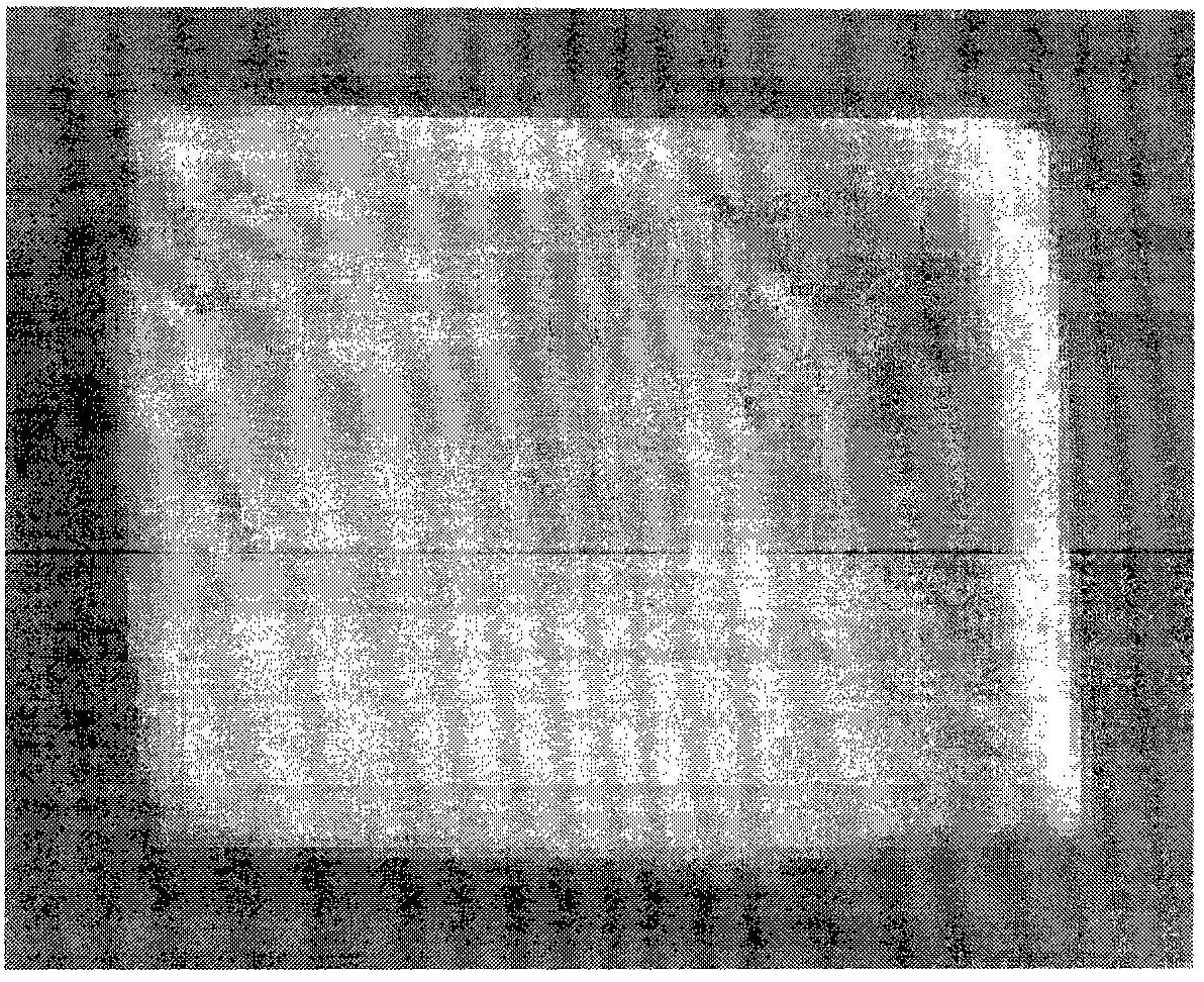 Preparation method of biological dressing containing nano silver, zinc and bismuth