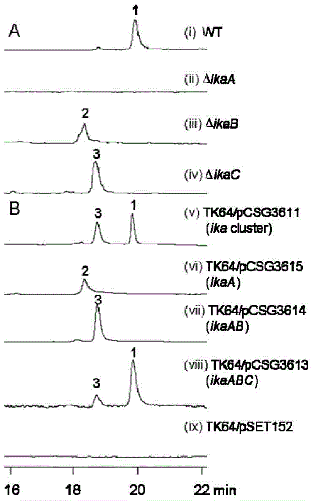 A kind of dovemycin biosynthetic gene cluster and its application