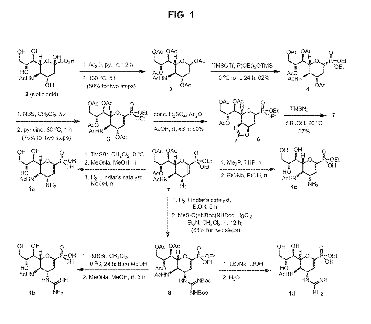 Zanamivir phosphonate congeners with Anti-influenza  activity and determining oseltamivir susceptibility of influenza viruses