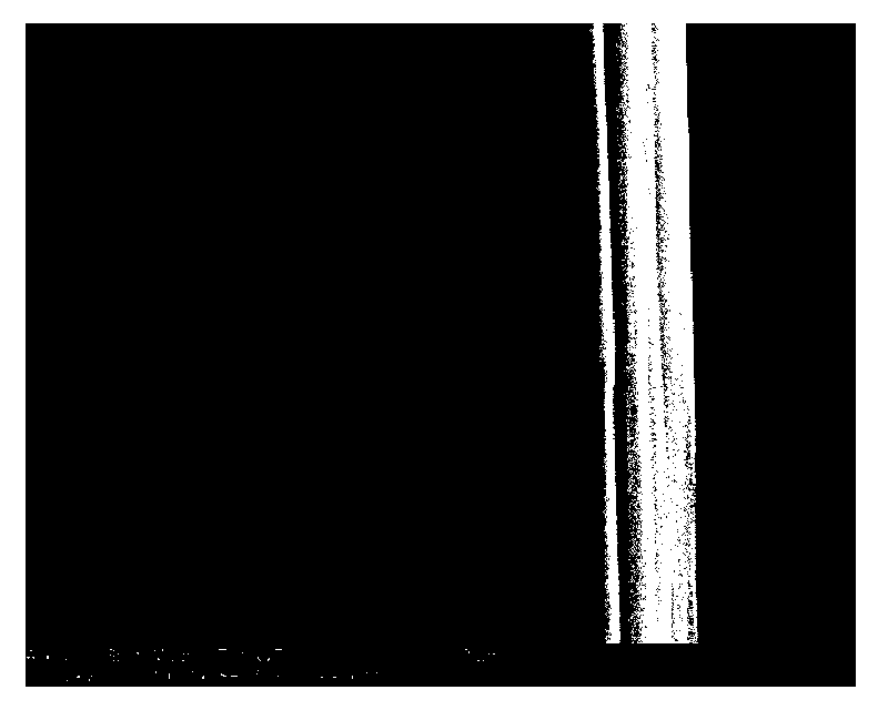 Method for modifying carbon fibers by dendritic macromoleculars