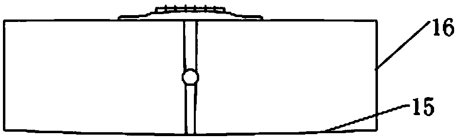 Guitar and carbonization method of wood used by guitar