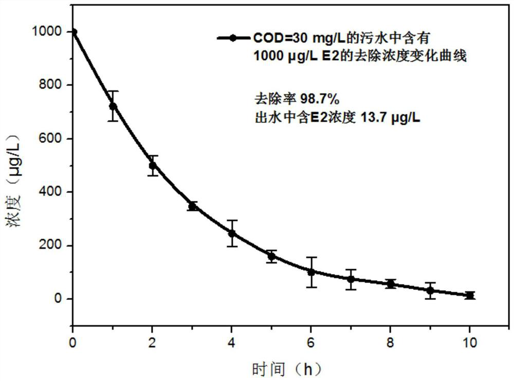 Selective Photoelectrocatalytic Removal of Low-concentration 17β-estradiol in Coexisting Systems