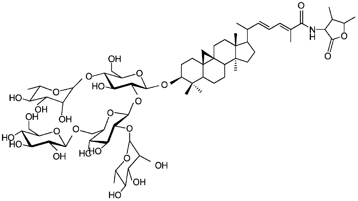 Preparation method for mussaendoside G