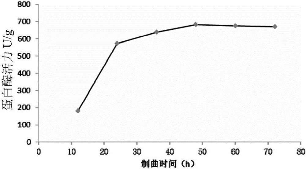 Thick broad-bean sauce fermented by mixed pure strains and preparation method thereof