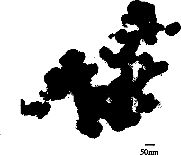 Method of preparing lithium niobate nanometer powder at low-temp by citric acid gel method