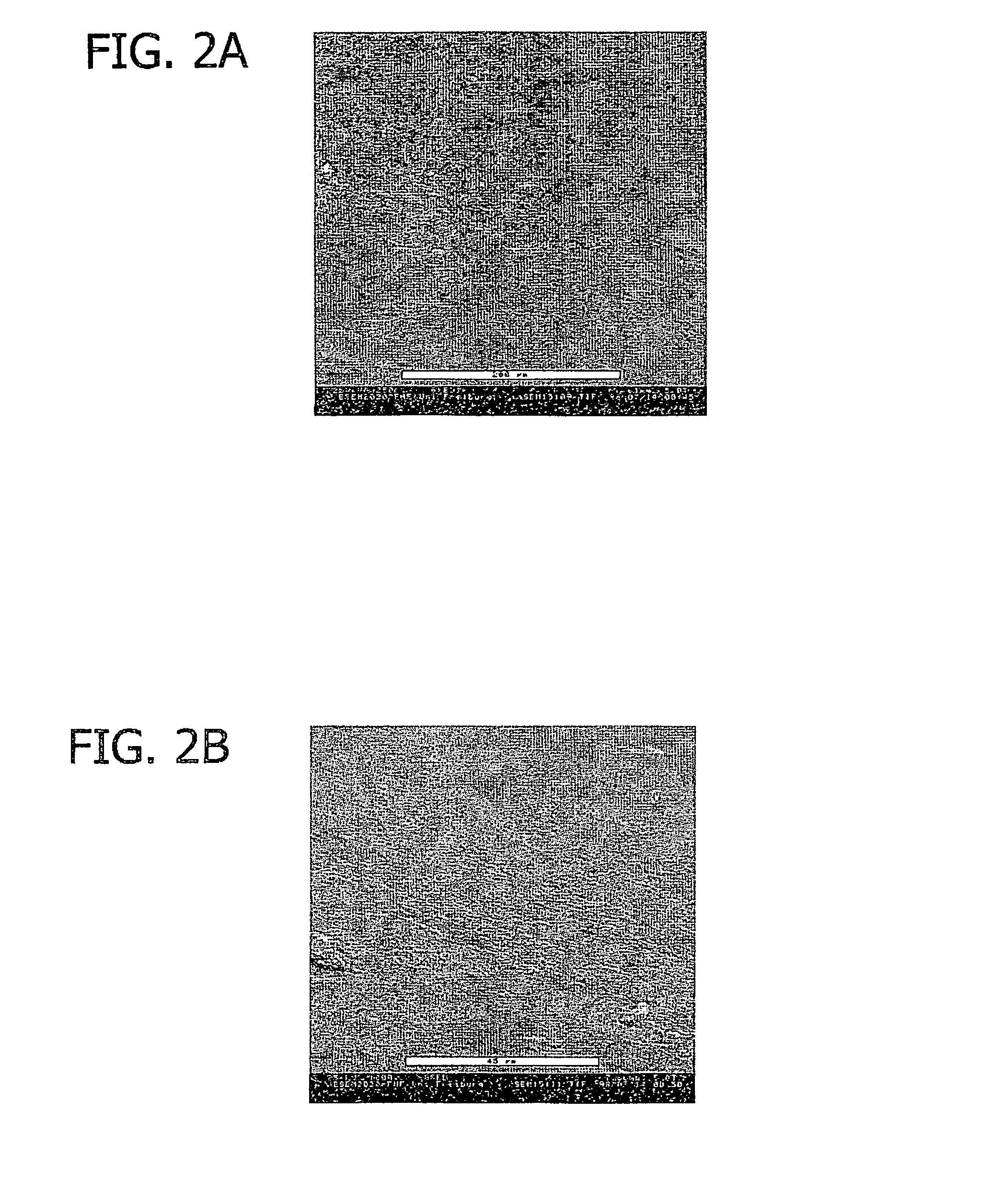 Method for directed cell in-growth and controlled tissue regeneration in spinal surgery