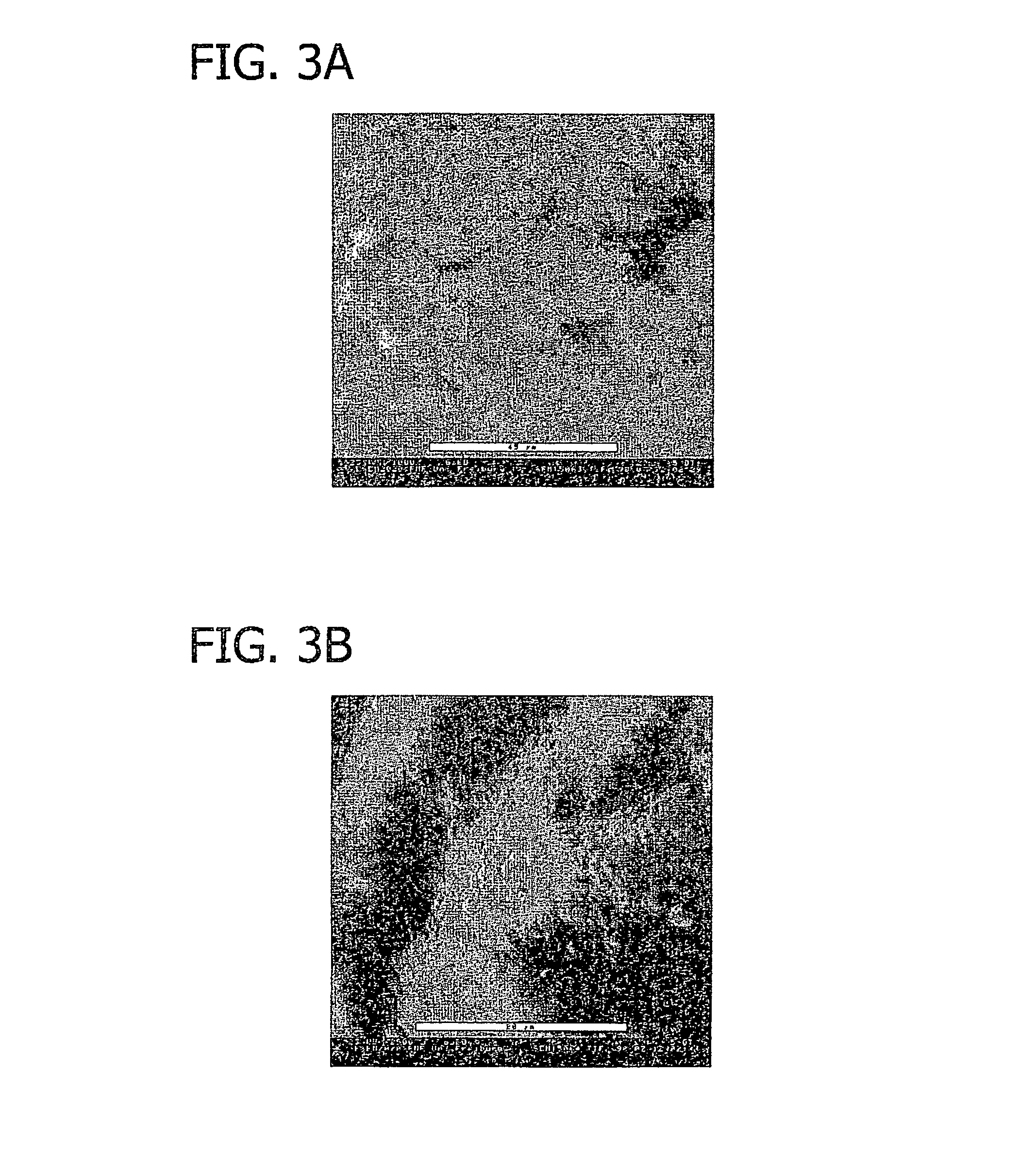 Method for directed cell in-growth and controlled tissue regeneration in spinal surgery