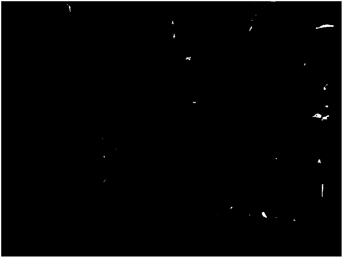 A kind of biochar composite material and preparation method thereof