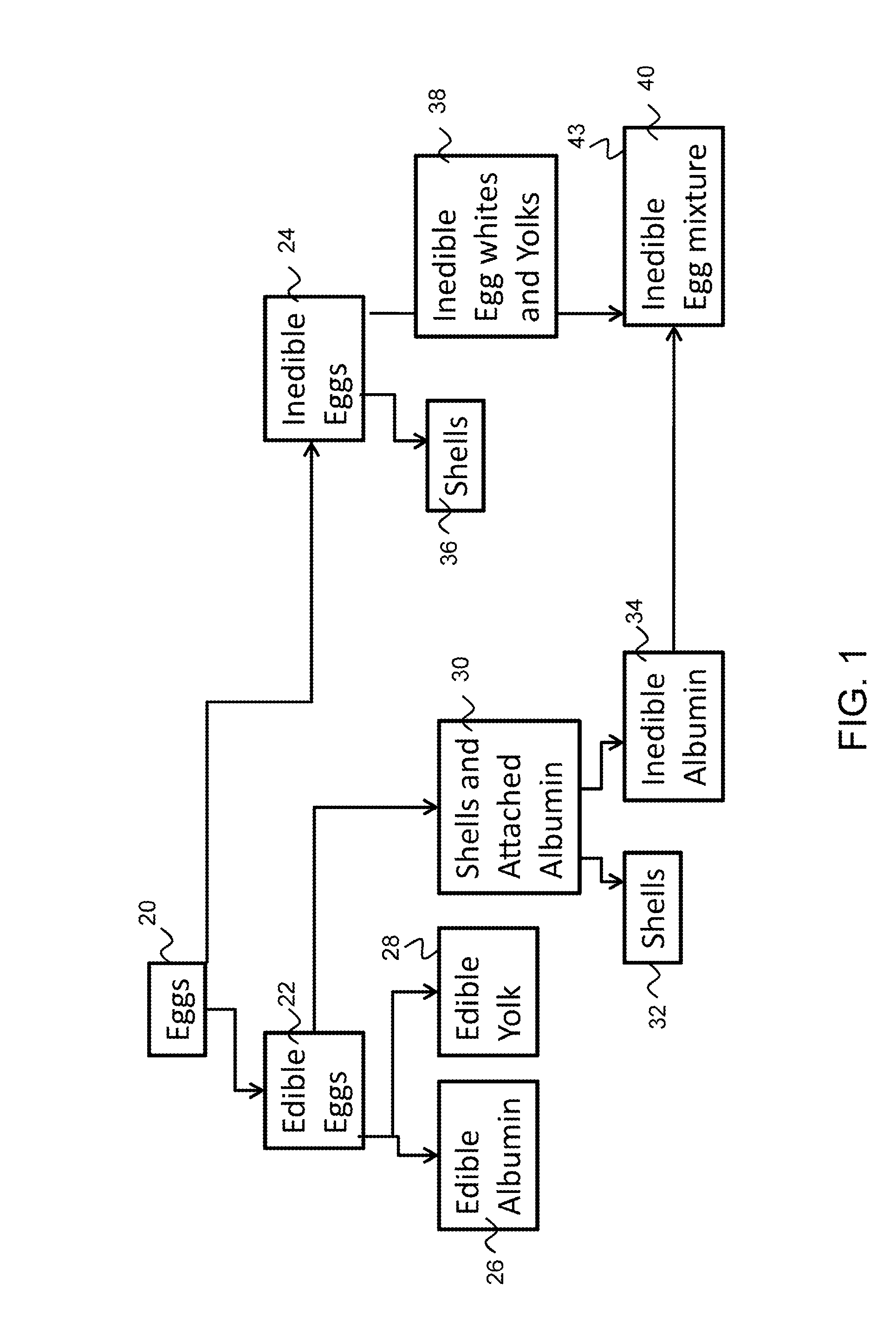 Isolated egg protein and egg lipid materials, and methods for producing the same