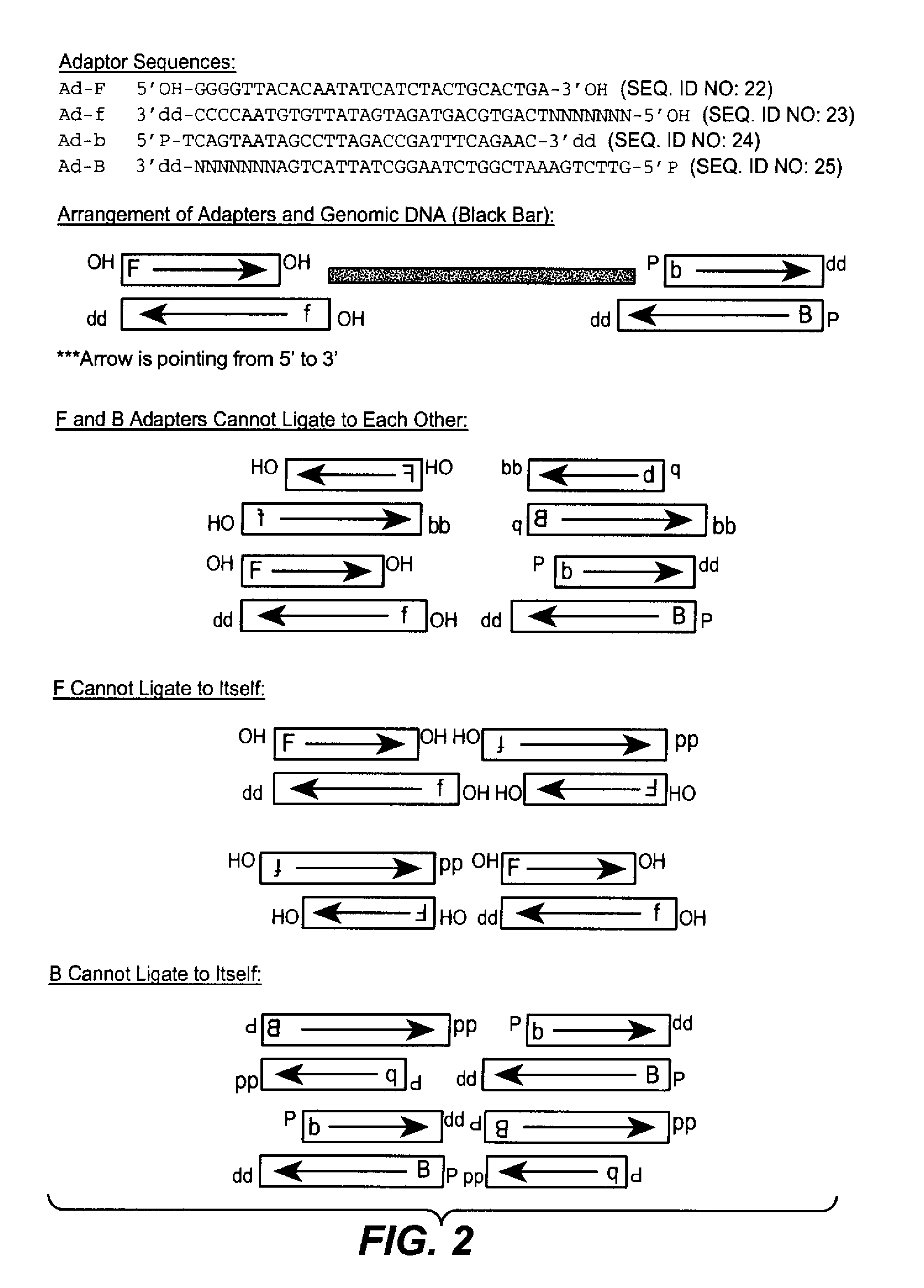 Random array DNA analysis by hybridization