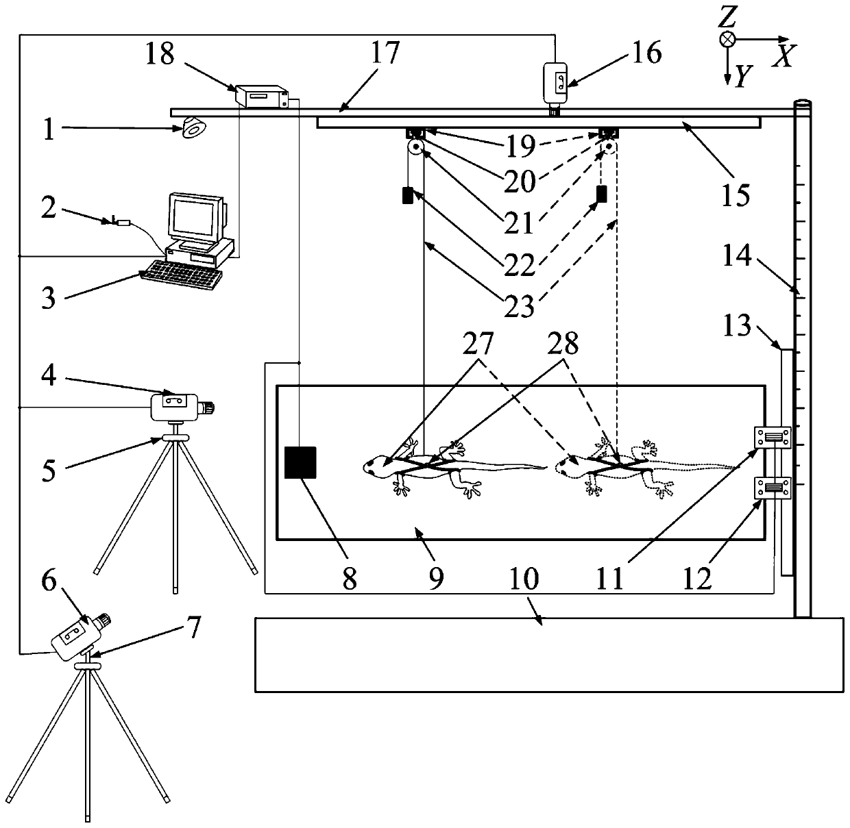 Vibration tests and methods for simulating adhesive motion on elastic planes in microgravity